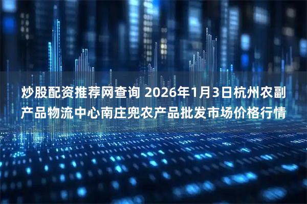炒股配资推荐网查询 2026年1月3日杭州农副产品物流中心南庄兜农产品批发市场价格行情