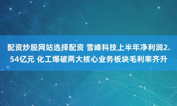 配资炒股网站选择配资 雪峰科技上半年净利润2.54亿元 化工爆破两大核心业务板块毛利率齐升